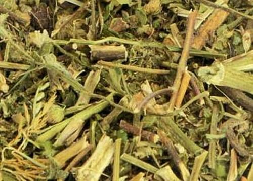 Erva de São João (50g)